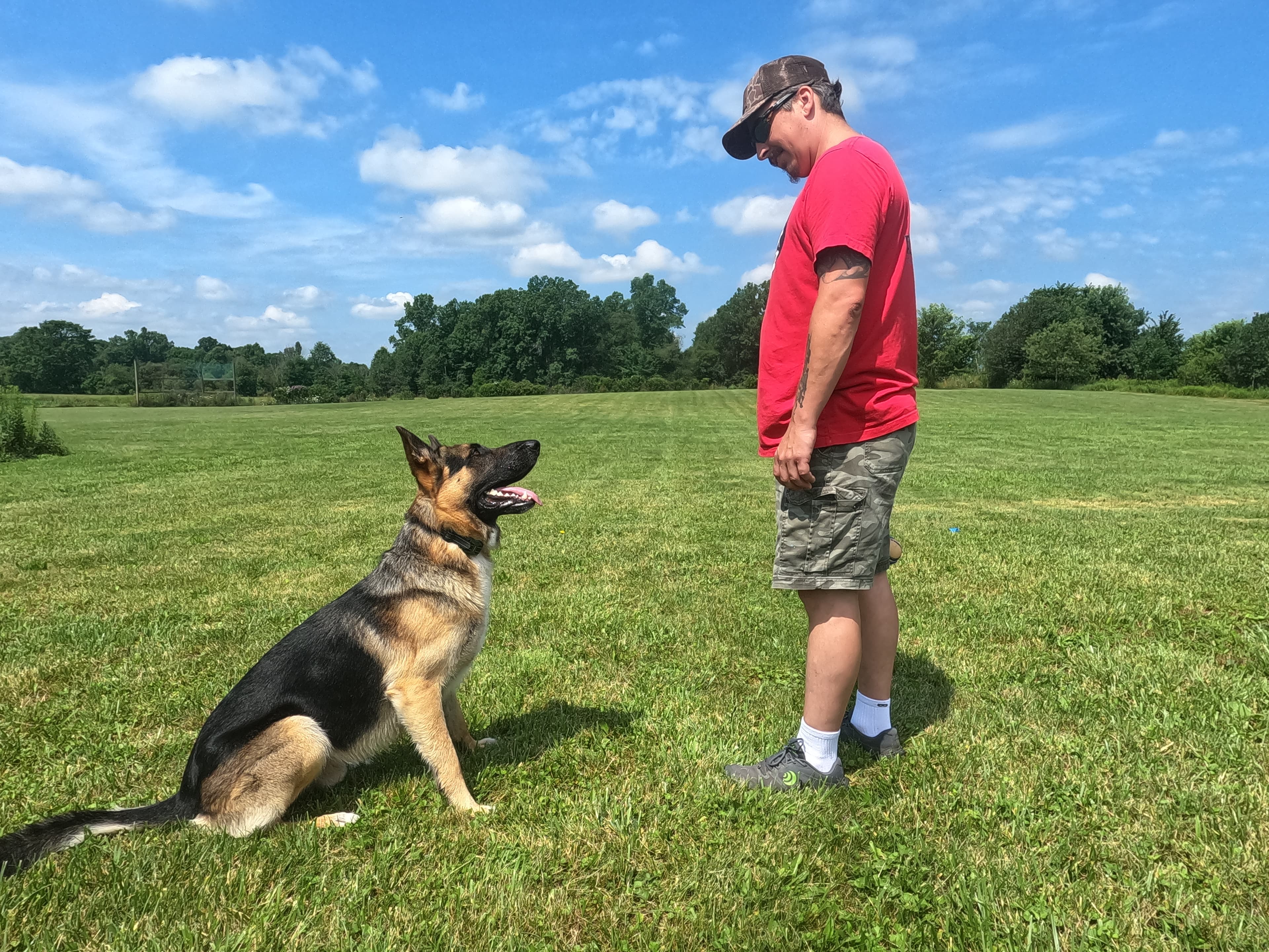 Ollie Major demonstrating focused engagement with his handler during outdoor training.