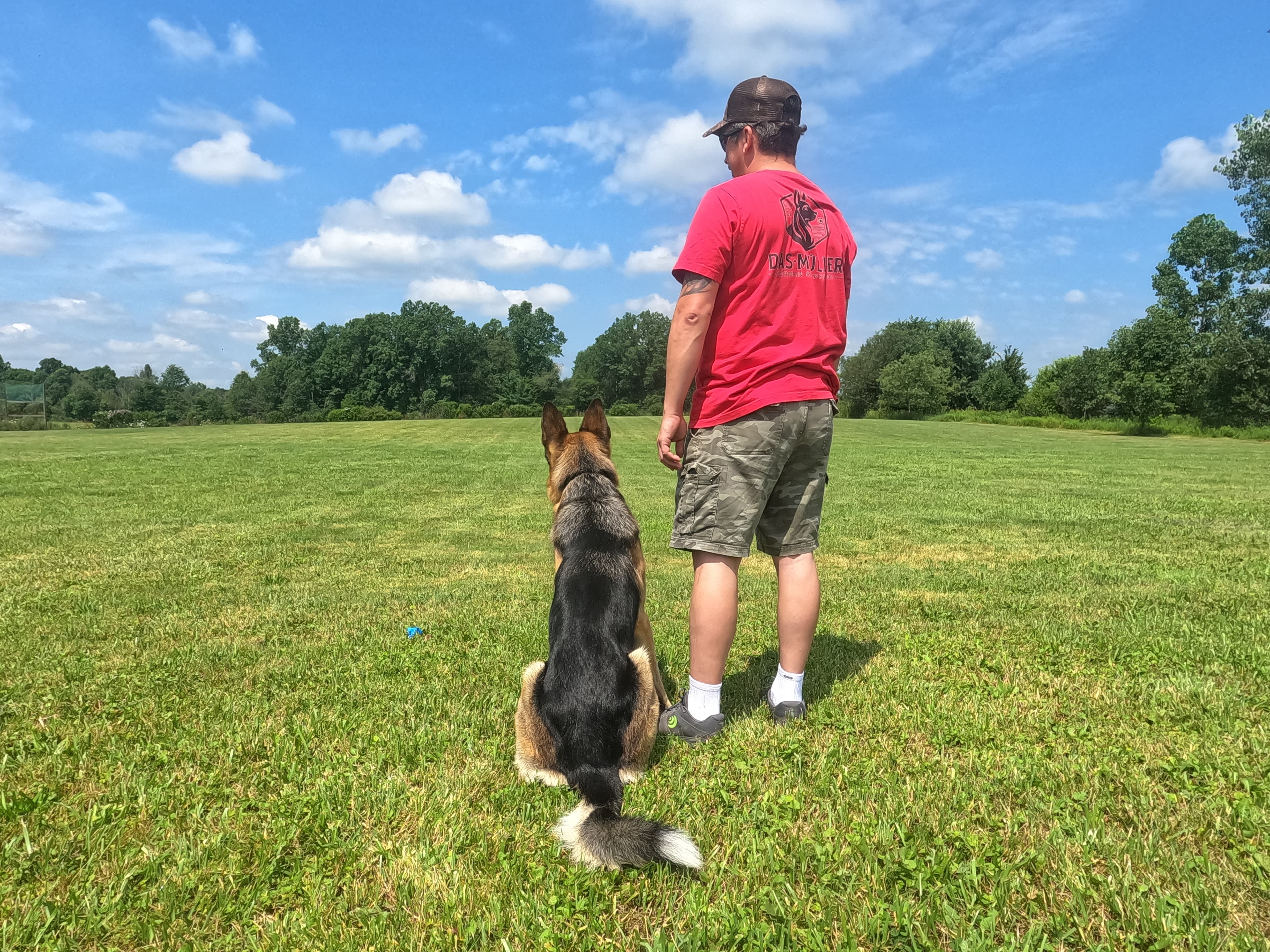 Ollie Major demonstrating handler focus during outdoor training at Patriot K9 Command.