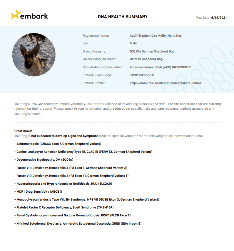 Embark DNA Health Summary for Adolf Stephan Jenkins.