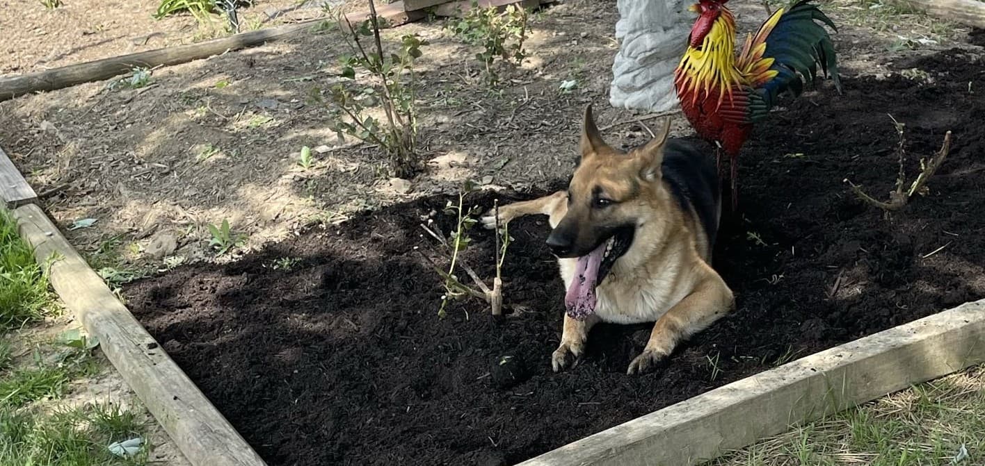 Adolf Stephan Jenkins relaxing outdoors.