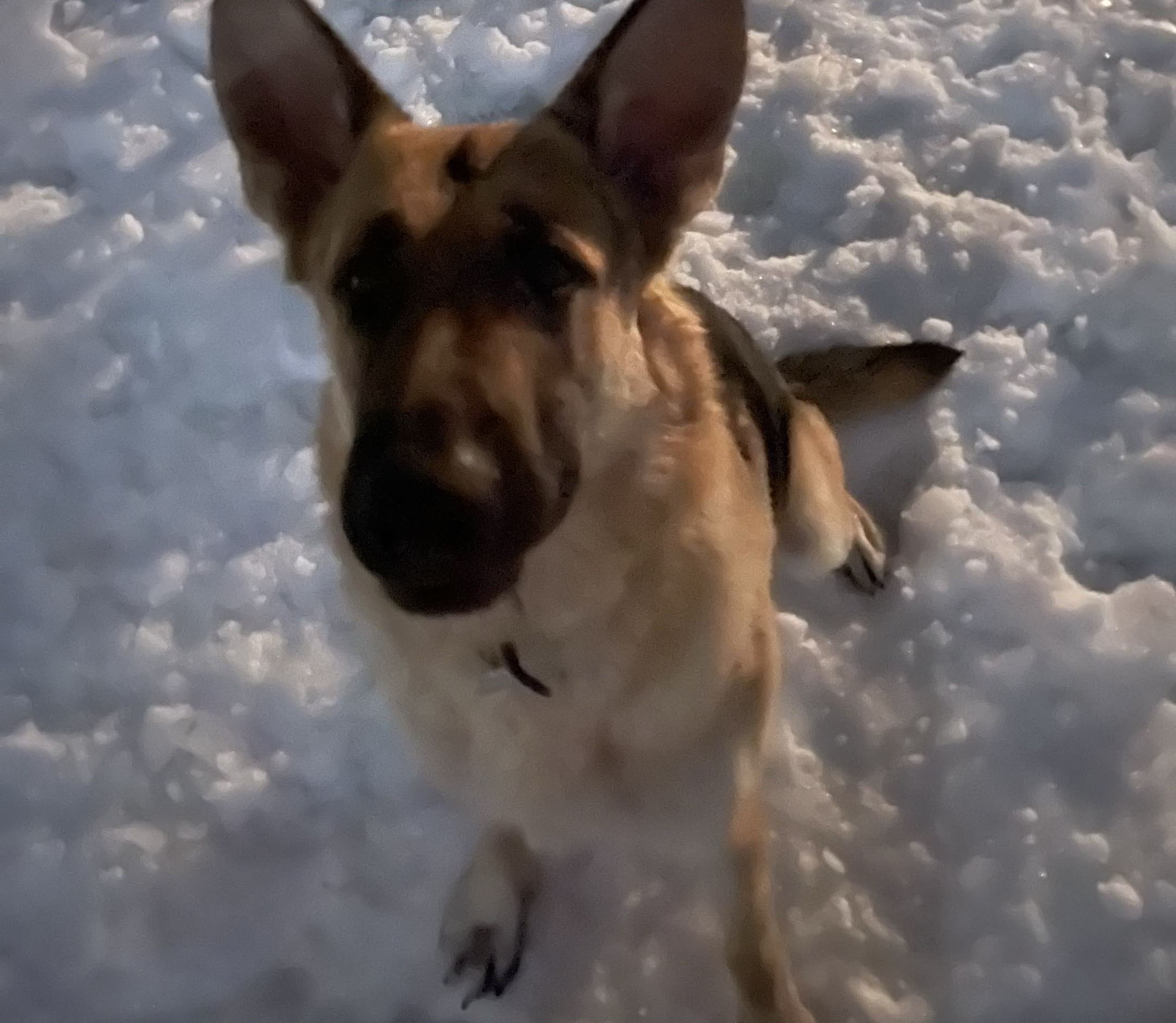 Adolf Stephan Jenkins outdoors in the snow.