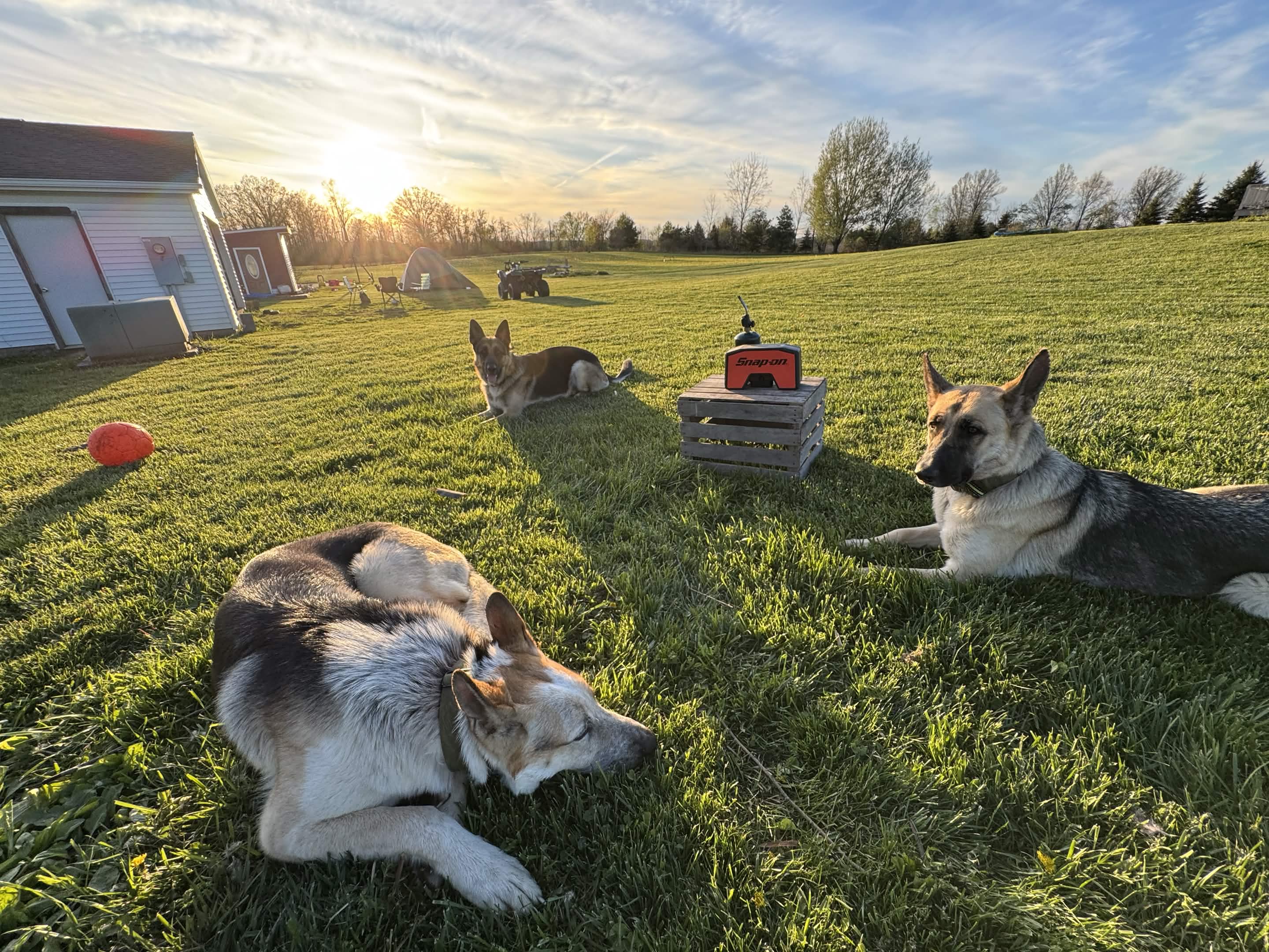 Structured pack training session