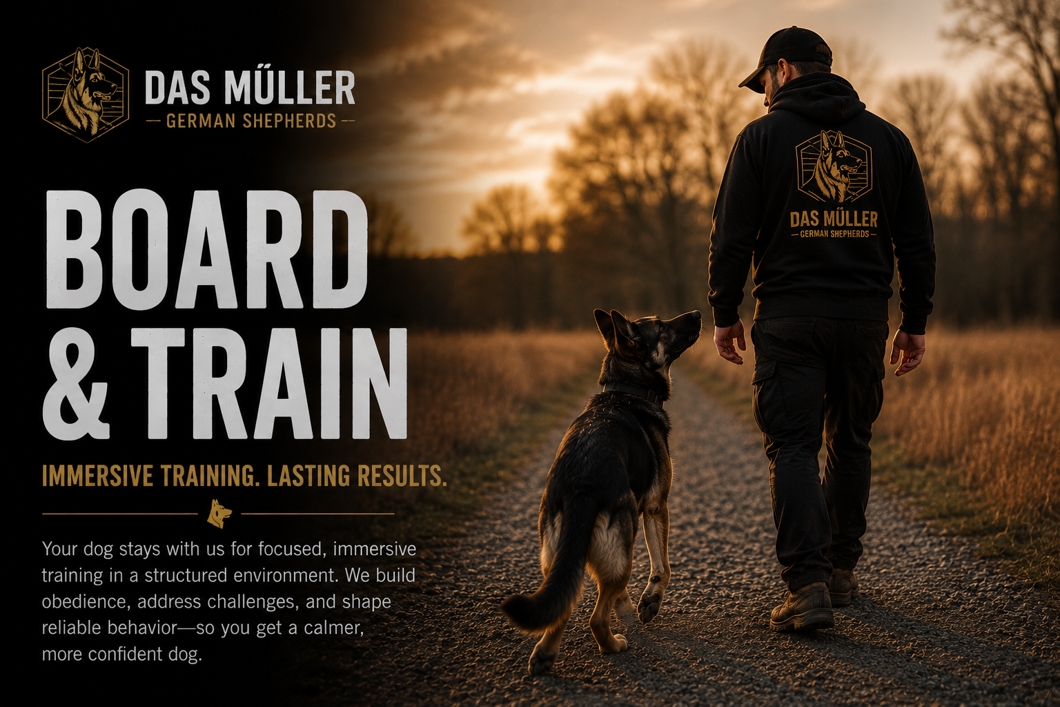Board & Train banner